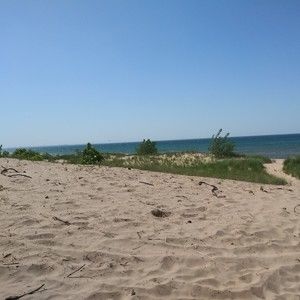 Meet your Posher, Gary